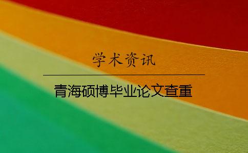青海硕博毕业论文查重