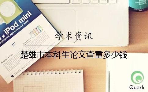 楚雄市本科生论文查重多少钱
