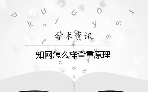 知网怎么样查重原理