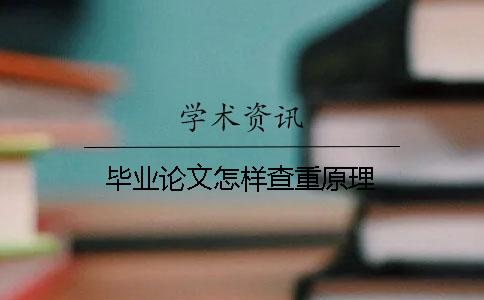 毕业论文怎样查重原理