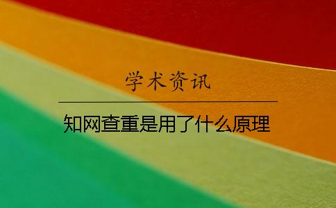 知网查重是用了什么原理